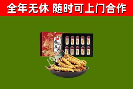 定陶烟酒回收冬虫夏草礼盒.jpg